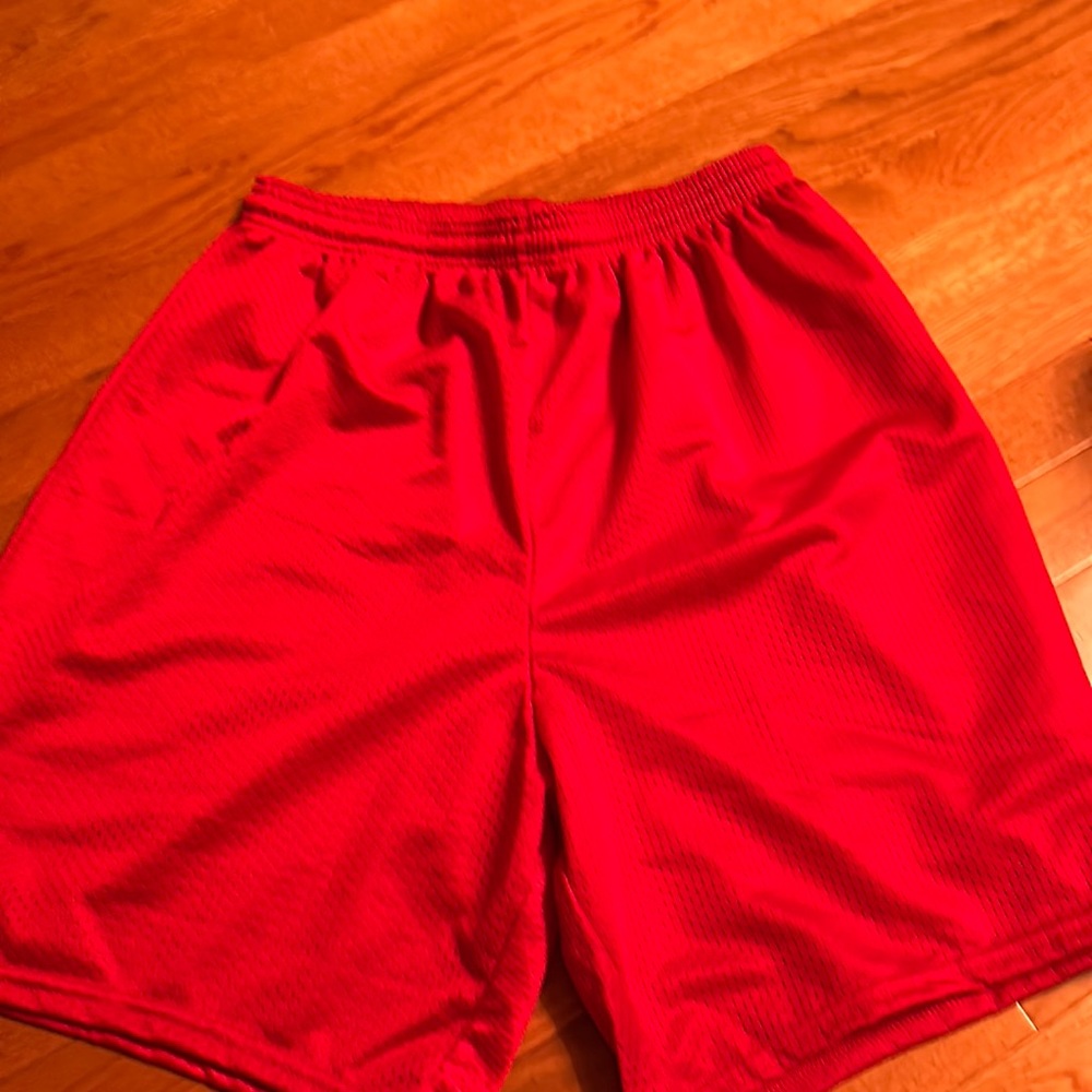 Mens Size L Mesh shorts Brand New!